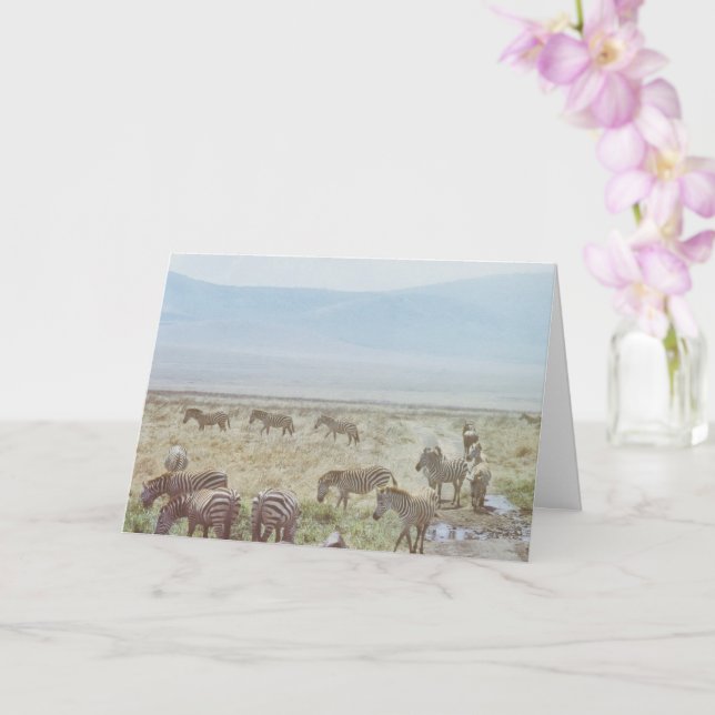 Zebra Wild Birthday Wishes Card (Orchid)