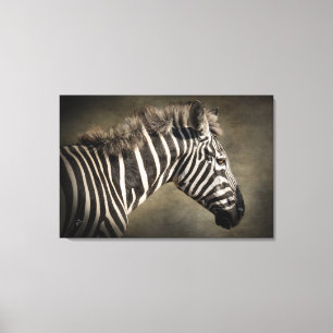 Zebra Wildlife Photography Art Canvas Print