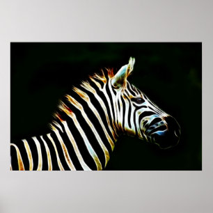 Zebra with black and white stripes in Africa Poster