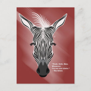 Zebra without Labels Postcards