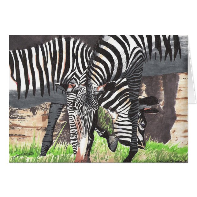 Zebras (Front Horizontal)