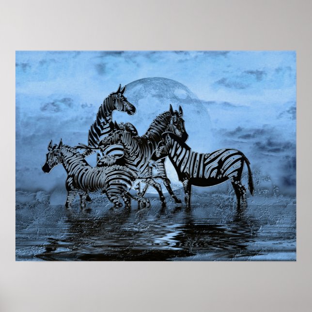 Zebras5 Poster (Front)