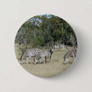 Zebras 6 Cm Round Badge