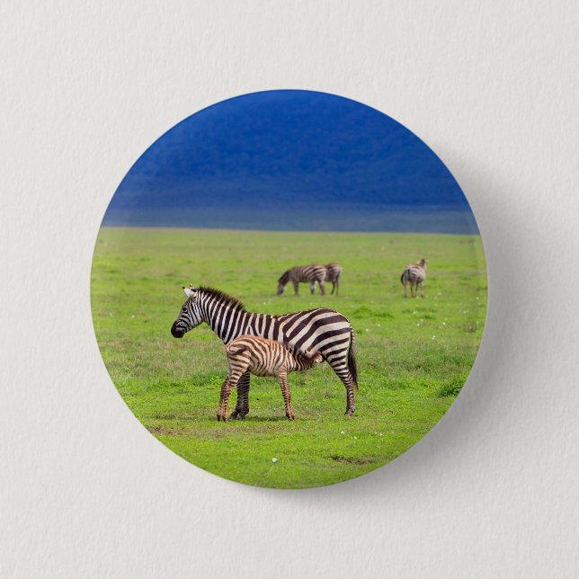 Zebras 6 Cm Round Badge (Front)