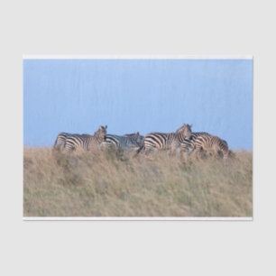 Zebras at dusk tissue paper