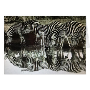 Zebras at Watering Hole