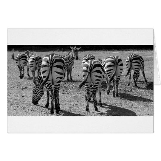 Zebras Card