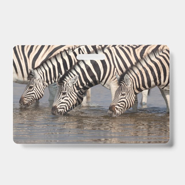 Zebras drinking ID badge (Front)
