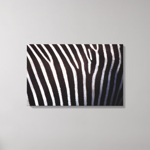 zebra's hide canvas print