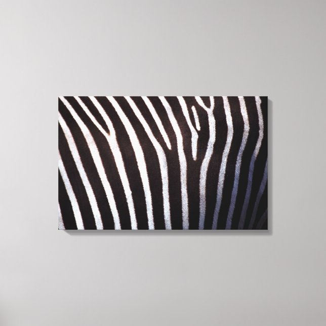 zebra's hide canvas print (Front)