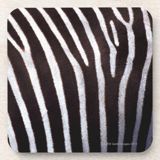 zebra's hide coaster (Front)