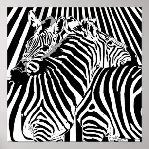 Zebras Hugging Poster for Binary Options Trading