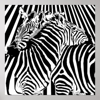 Zebras Hugging Poster for Binary Options Trading