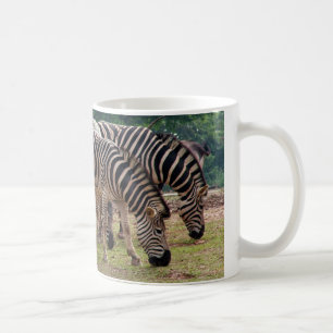 zebras in a wild animal zoo coffee mug