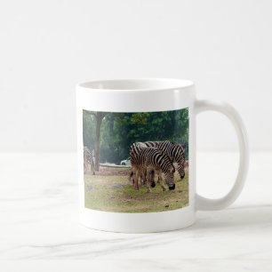 zebras in a wild animal zoo coffee mug