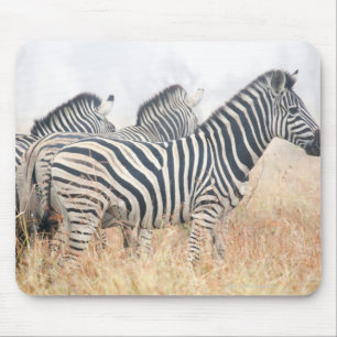 Zebras in early morning dust, Kruger National 2 Mouse Mat