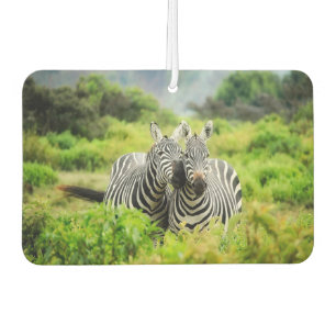 Zebras in the wild car air freshener