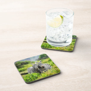 Zebras in the wild coaster