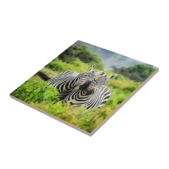 Zebras in the wild tile (Side)