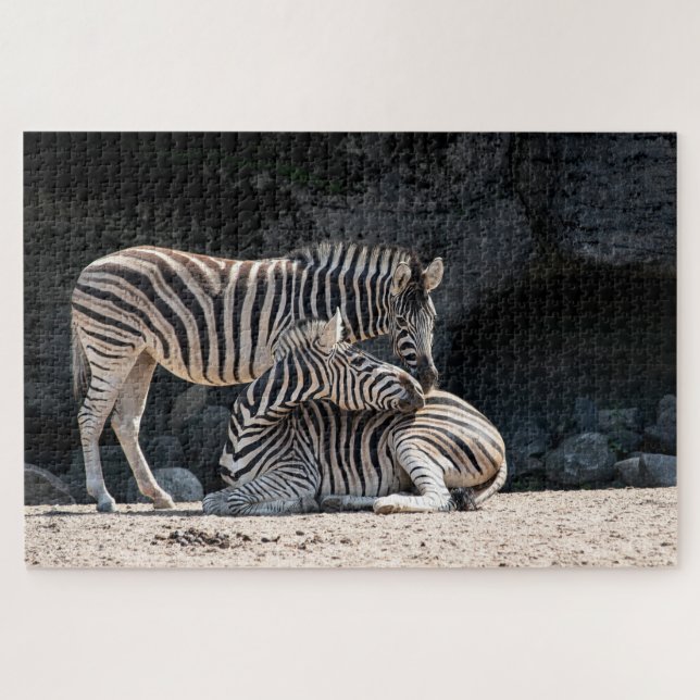 Zebras Jigsaw Puzzle (Horizontal)