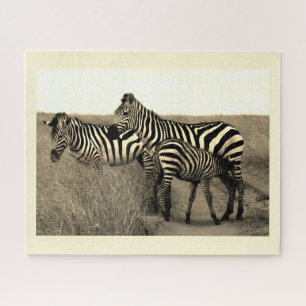 Zebras Jigsaw Puzzle