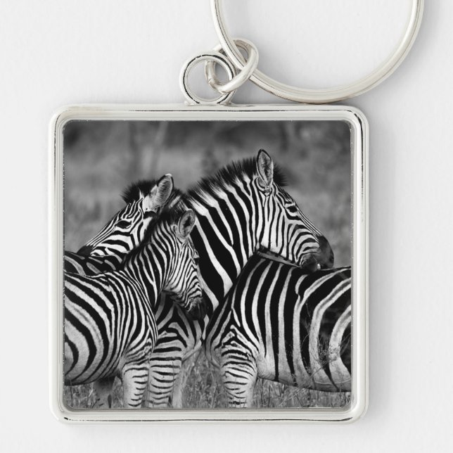 Zebras Key Ring (Front)