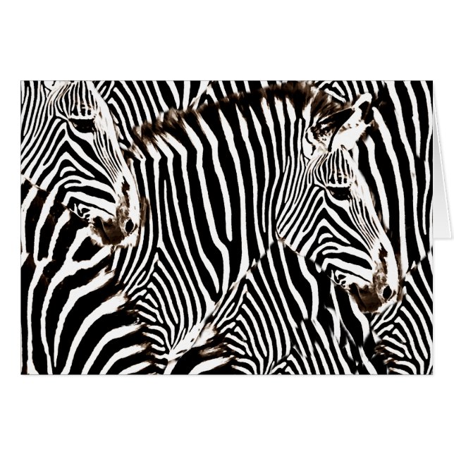 Zebras love_ (Front Horizontal)
