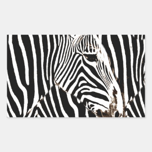 Zebras love_ rectangular sticker
