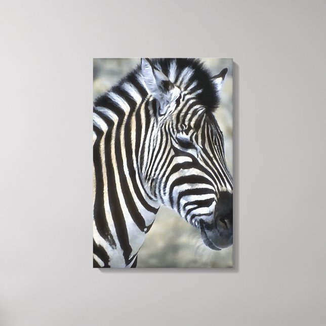 Zebras Lovers Art Canvas Print (Front)
