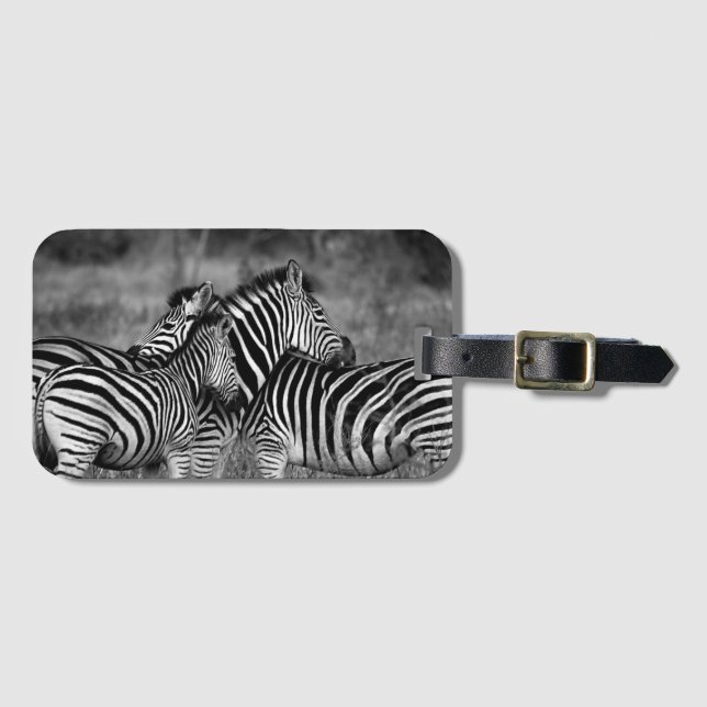 Zebras Luggage Tag (Front Horizontal)