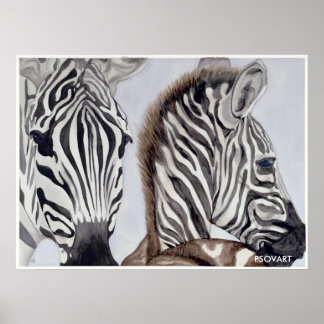 Zebras Mother and Child Poster