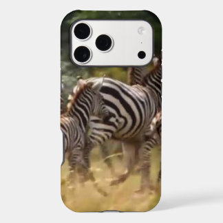 Zebras on the Move: A Journey of a Thousand Miles 