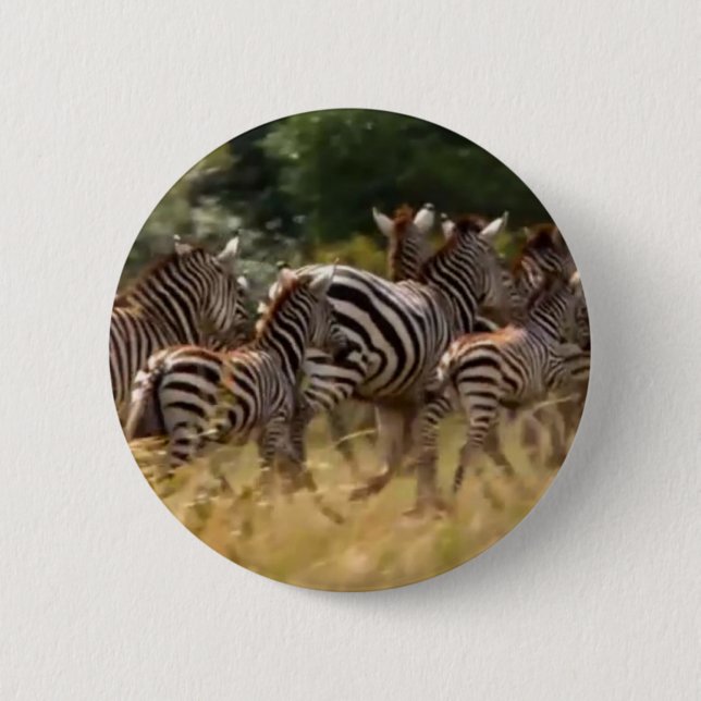 Zebras on the Move: A Journey of a Thousand Miles 6 Cm Round Badge (Front)