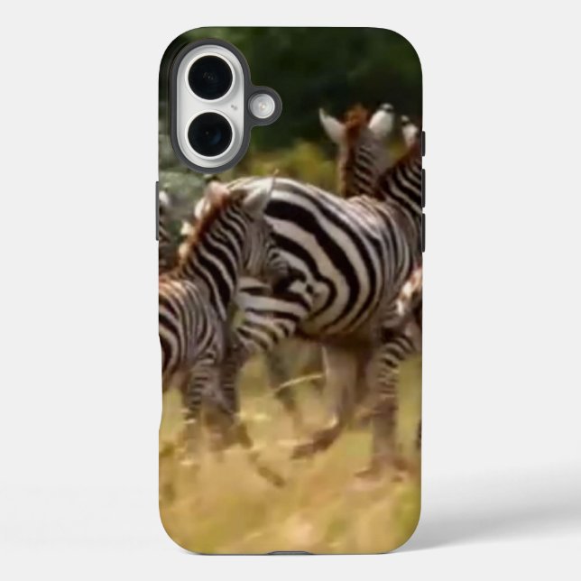 Zebras on the Move: A Journey of a Thousand Miles  Case-Mate iPhone Case (Back)