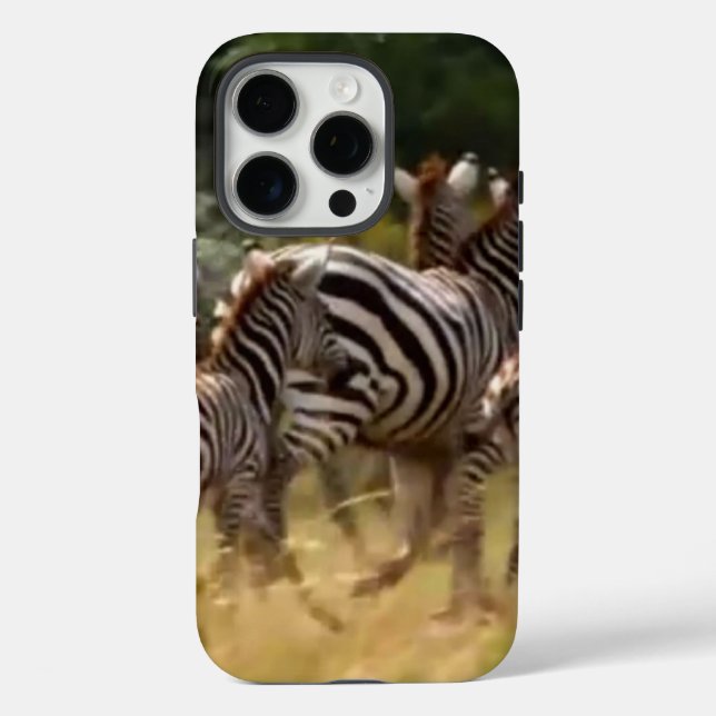 Zebras on the Move: A Journey of a Thousand Miles  Case-Mate iPhone Case (Back)
