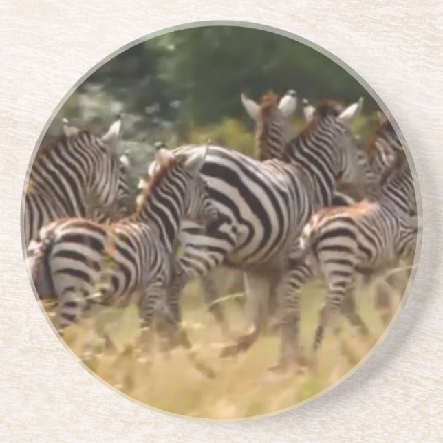 Zebras on the Move: A Journey of a Thousand Miles Coaster (Front)