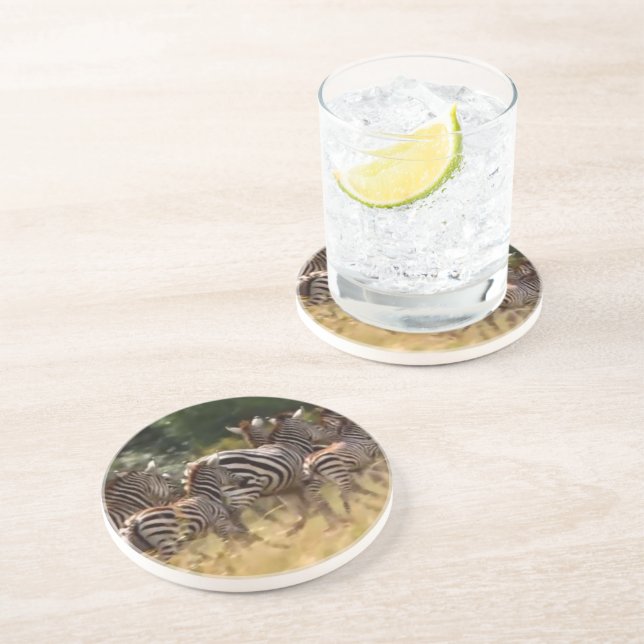 Zebras on the Move: A Journey of a Thousand Miles Coaster (Side)