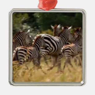 Zebras on the Move: A Journey of a Thousand Miles Metal Tree Decoration