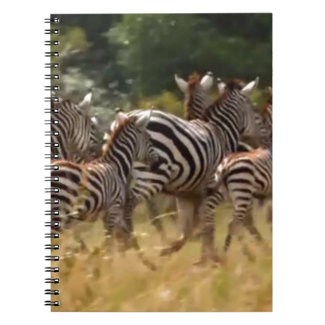 Zebras on the Move: A Journey of a Thousand Miles Notebook (Front)