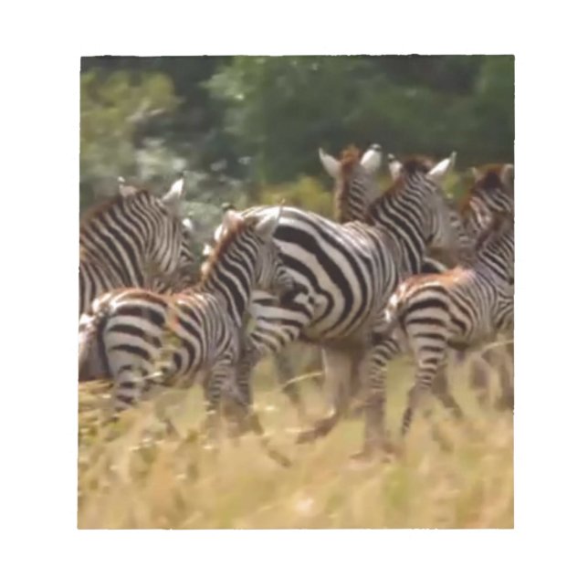 Zebras on the Move: A Journey of a Thousand Miles Notepad (Front)