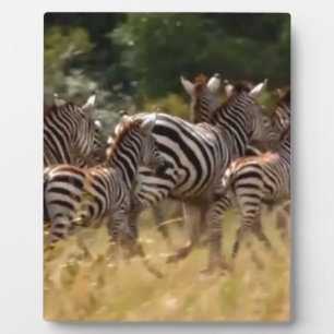 Zebras on the Move: A Journey of a Thousand Miles Plaque
