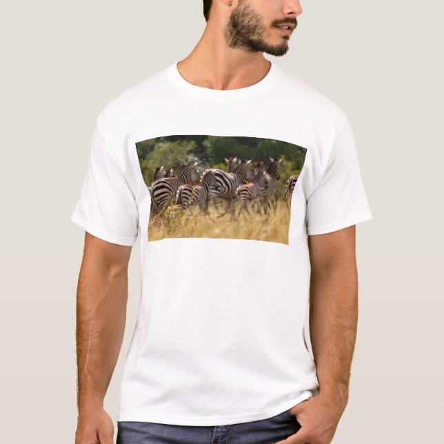 Zebras on the Move: A Journey of a Thousand Miles T-Shirt (Front)
