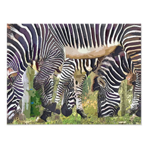 ZEBRAS PHOTO PRINT