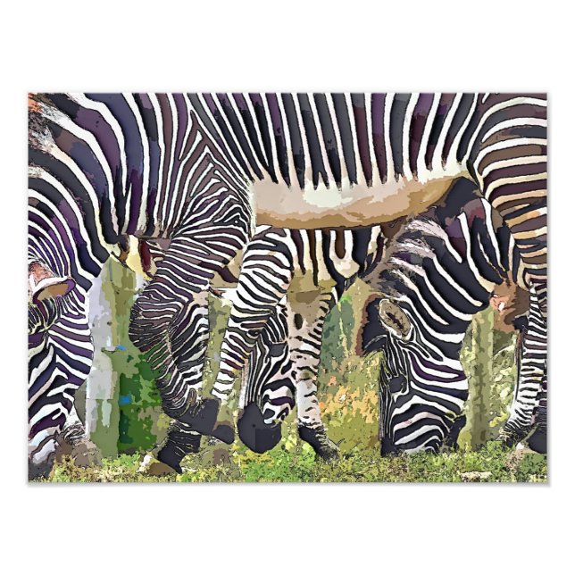 ZEBRAS PHOTO PRINT (Front)