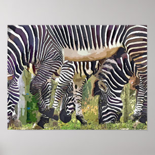 ZEBRAS POSTER
