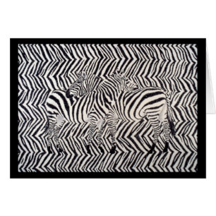 Zebras: Read Between The Lines