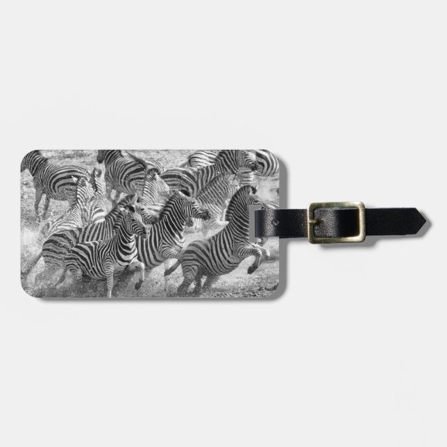 Zebras running luggage tag (Front Horizontal)