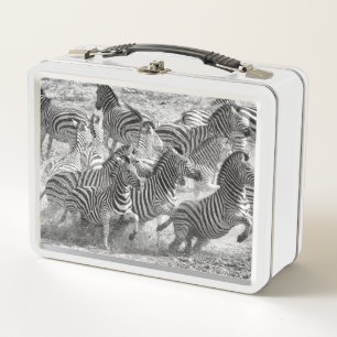 Zebras running metal lunch box