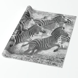 Zebras running wrapping paper