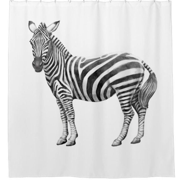 Zebras Shower Curtain (Front)